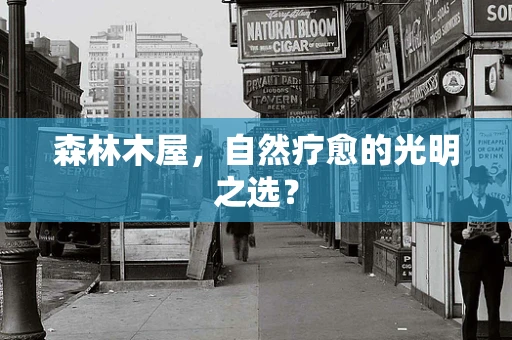 森林木屋，自然疗愈的光明之选？