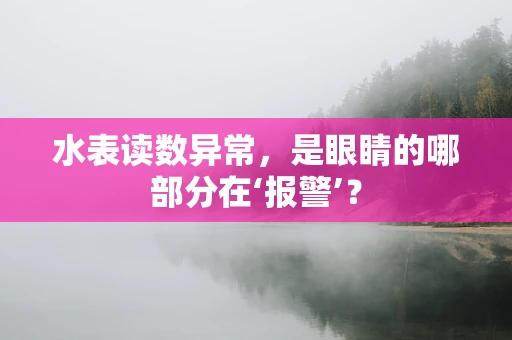 水表读数异常，是眼睛的哪部分在‘报警’？