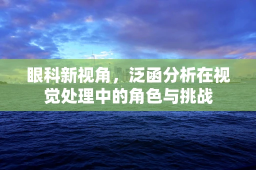 眼科新视角，泛函分析在视觉处理中的角色与挑战