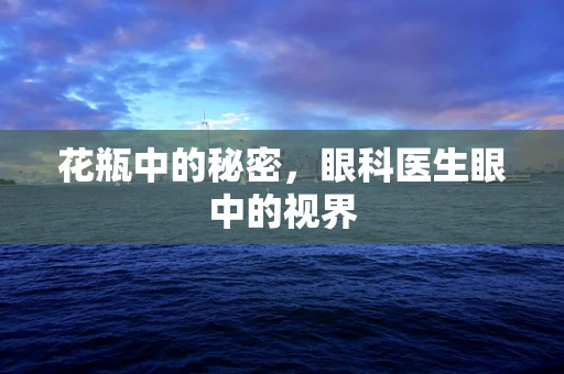 花瓶中的秘密，眼科医生眼中的视界