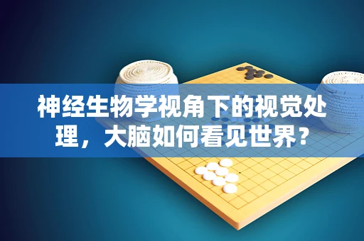 神经生物学视角下的视觉处理，大脑如何看见世界？