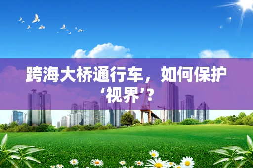 跨海大桥通行车，如何保护‘视界’？